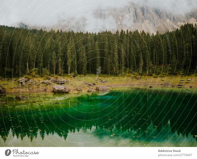 Landschaft mit immergrünen Bäumen in den Dolomiten, Italien nadelhaltig Teich Berge u. Gebirge Reflexion & Spiegelung Immergrün ruhig Kiefer Wasser Stausee See