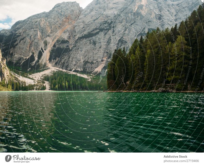 Wunderschöner Blick auf den See mit Wald Berge u. Gebirge Gelassenheit Wasser Immergrün nadelhaltig Außenaufnahme Panorama (Bildformat) Landschaft Tourismus