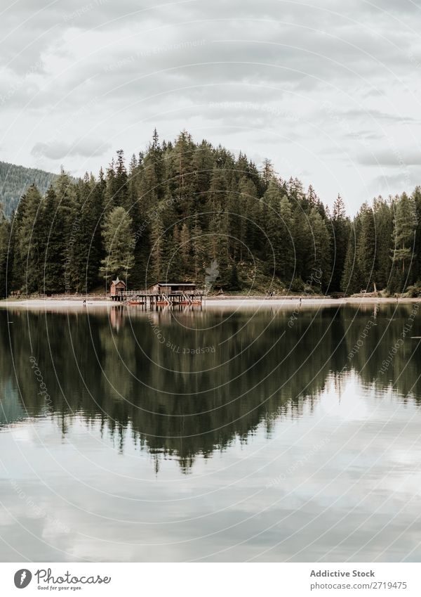 Blick auf See und Wald Haus Dock Berge u. Gebirge Gelassenheit Holz Wasser Baum Landschaft Reflexion & Spiegelung nadelhaltig Außenaufnahme