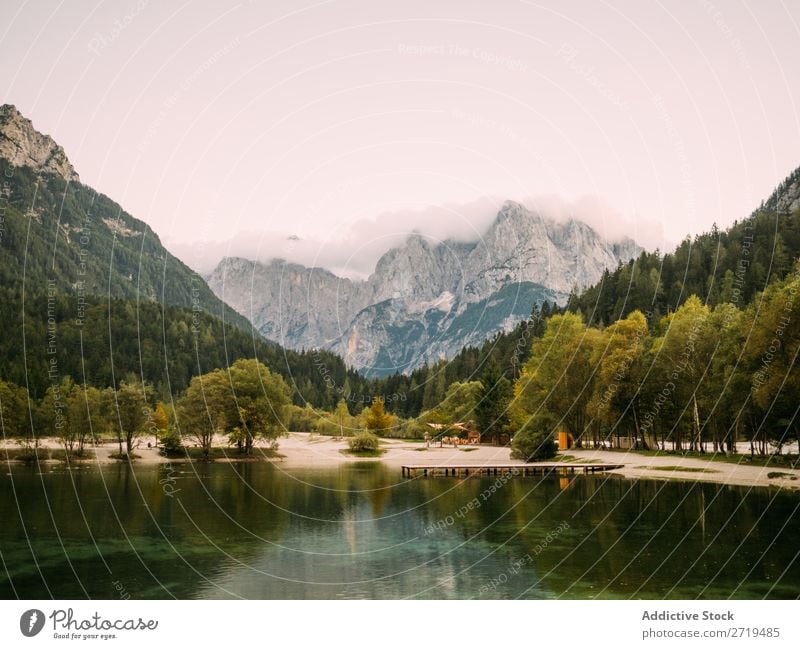 See mit Bäumen an Ufern und Bergen Berge u. Gebirge Landschaft nadelhaltig Idylle Reflexion & Spiegelung Immergrün ruhig Kiefer Wasser Baum natürlich Stausee