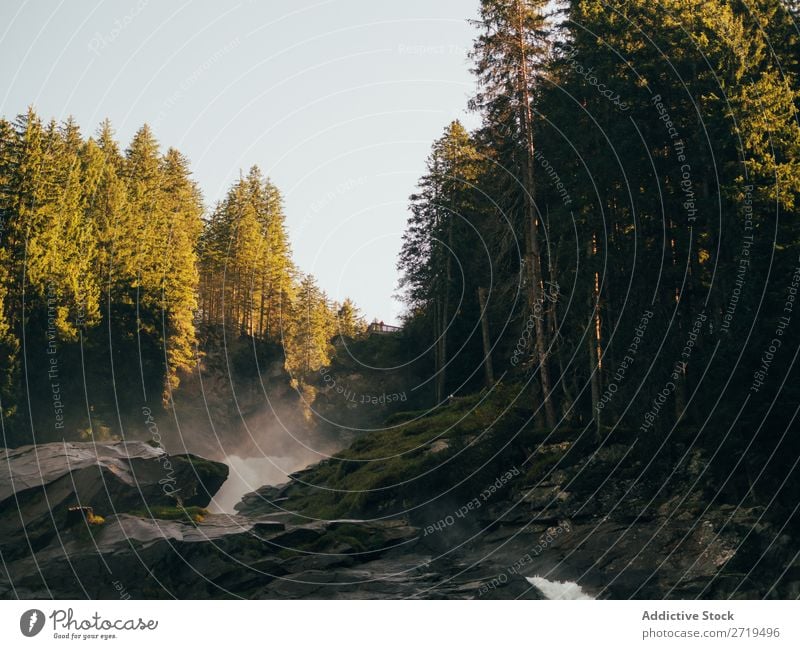 Bach zwischen Felsen und Bäumen strömen Natur Wald Wasserfall Landschaft fließen natürlich Fluss grün Umwelt Berge u. Gebirge Kaskade Wut Außenaufnahme wild