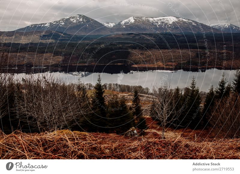 See und Tal in den Bergen Küste Felsen Hügel Berge u. Gebirge Landschaft Natur Wasser natürlich Stein schön Wolken Schottland Gras Ferien & Urlaub & Reisen Wald