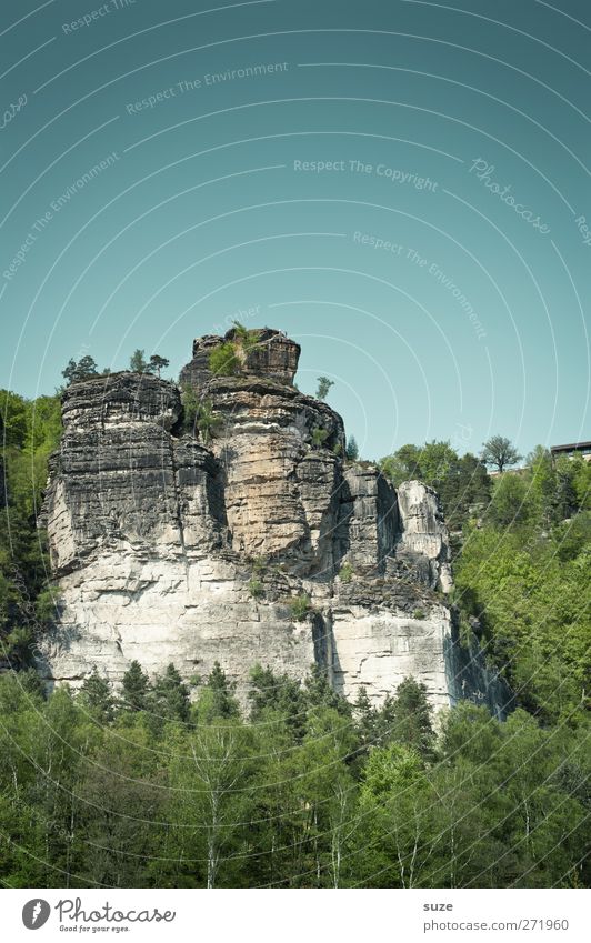 Sandstein im Grünen Ferien & Urlaub & Reisen Tourismus Freiheit Berge u. Gebirge Umwelt Natur Landschaft Pflanze Urelemente Himmel Wolkenloser Himmel Frühling