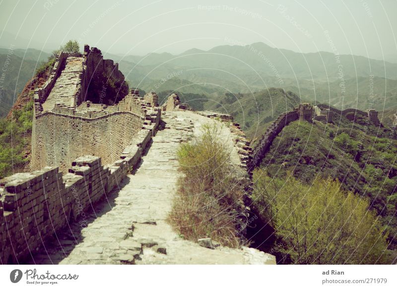 The Great Wall Landschaft Wolkenloser Himmel Frühling Schönes Wetter Pflanze Baum Gras Sträucher Wald Hügel Felsen China Menschenleer Ruine Turm Hochsitz