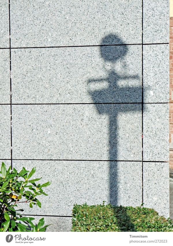 Uffbasse! Sträucher Grünpflanze Stadt Fassade Stein Zeichen Hinweisschild Warnschild stehen warten einfach grau grün Stimmung Ordnung Schatten Fuge Farbfoto