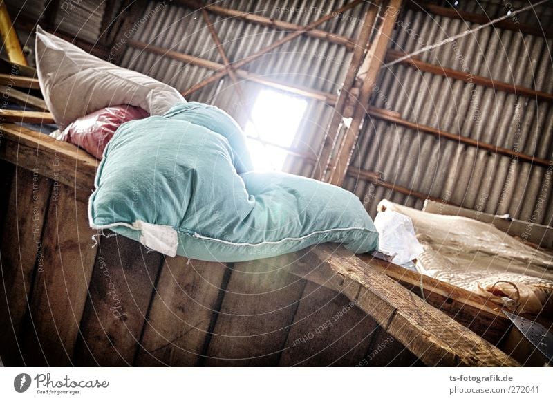 Frau Holles Dachboden Menschenleer Bauwerk Lagerhalle Dielenboden Blechdach Mauer Wand Fenster Speicher Kissen Federbett Daunenbett Bettwäsche Bettdecke Holz