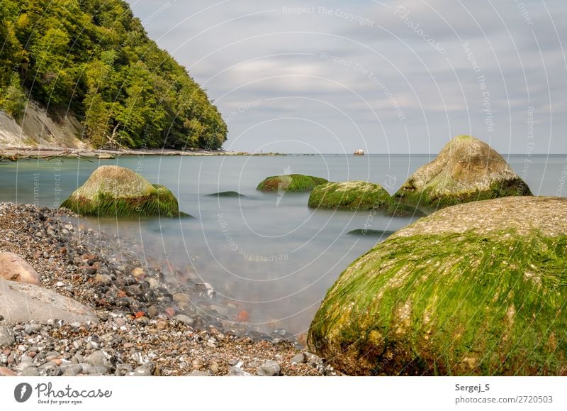 Am Fuße des Königsstuhls Umwelt Natur Landschaft Pflanze Urelemente Wasser Himmel Wolken Horizont Sommer Baum Moos Wald Küste Strand Ostsee Insel Rügen