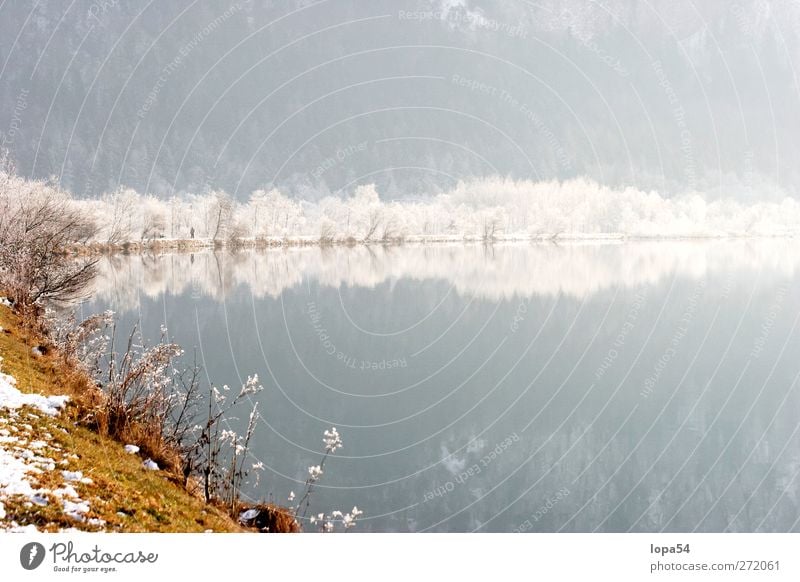 Spätherbst am Fluss harmonisch ruhig Winter Schnee Umwelt Natur Landschaft Wasser Sonnenlicht Schönes Wetter Eis Frost Baum Wald Flussufer See weiß Farbfoto