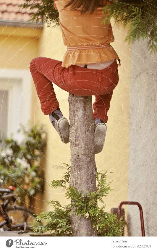 baumkletterin feminin Kind Kindheit Rücken Gesäß Beine Fuß 3-8 Jahre Baum Gebäude Fassade Klettern beweglich Hof Farbfoto Außenaufnahme Schwache Tiefenschärfe