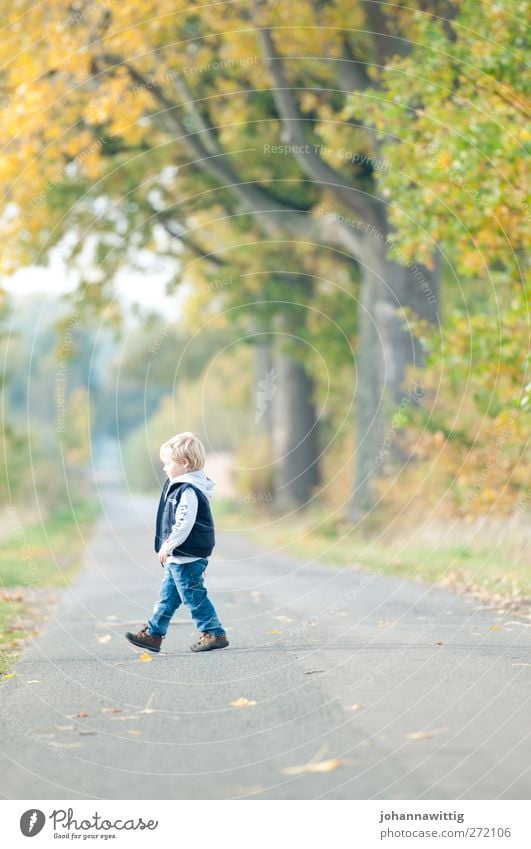 links schön Leben Spielen Kind maskulin Kleinkind Kindheit 1 Mensch 3-8 Jahre Umwelt Natur Landschaft Sonne Herbst Schönes Wetter Pflanze Baum Gras Sträucher