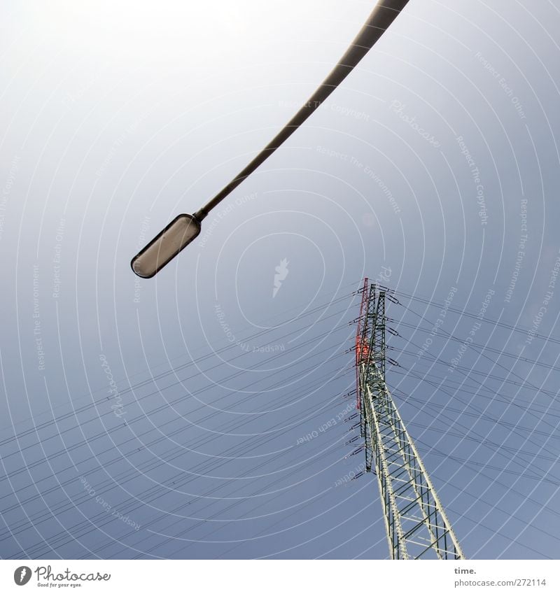 Großwild Technik & Technologie Energiewirtschaft Elektrizität Hochspannungsleitung Stromtransport Straßenbeleuchtung Umwelt Himmel Schönes Wetter Turm Metall