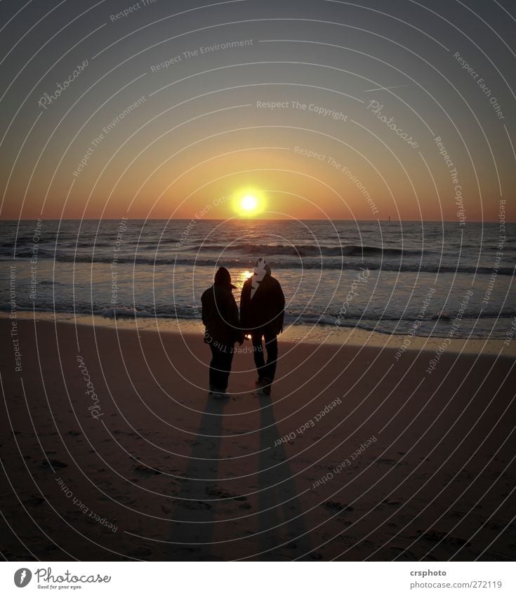 Lonesome couple... Meer Paar Partner 2 Mensch Wasser Himmel Sonnenaufgang Sonnenuntergang Küste Nordsee beobachten Erholung stehen träumen Glück Vertrauen