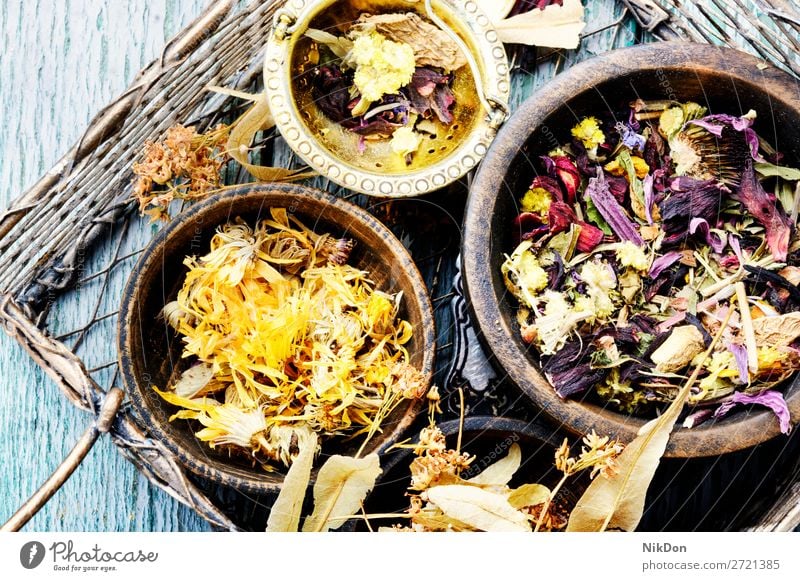 Kräuter Medizin Blumen Kraut Pflanze Kräuterbuch natürlich alternativ Gesundheit Aromatherapie Wildblume Kräuterkunde Kräutermedizin Korb Behandlung Homöopathie