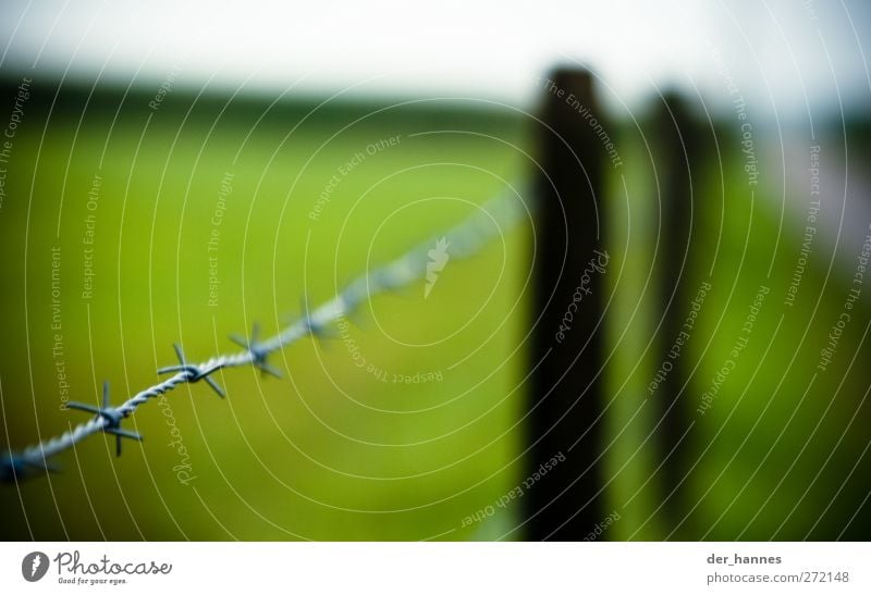 stacheldraht Natur Landschaft Horizont Gras Garten Wiese Feld Metall Zeichen stachelig Schmerz Stacheldrahtzaun Weide Farbfoto mehrfarbig Außenaufnahme