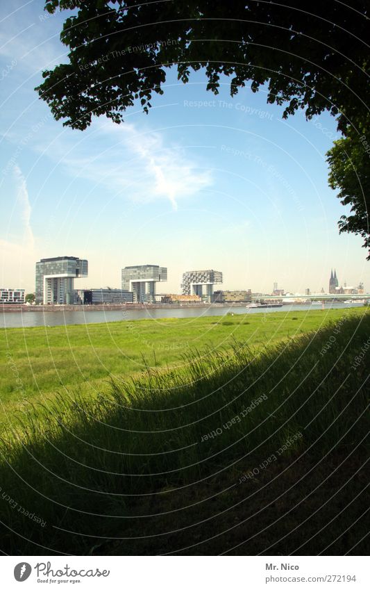 Haus im grünen Natur Himmel Schönes Wetter Baum Gras Wiese Flussufer Köln Stadt bevölkert Traumhaus Gebäude Architektur Sehenswürdigkeit außergewöhnlich Kitsch