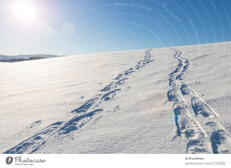 Spuren im Schnee Leben Freizeit & Hobby Ferien & Urlaub & Reisen Winter Winterurlaub Berge u. Gebirge wandern Natur gehen sportlich blau Wege & Pfade Fußspur