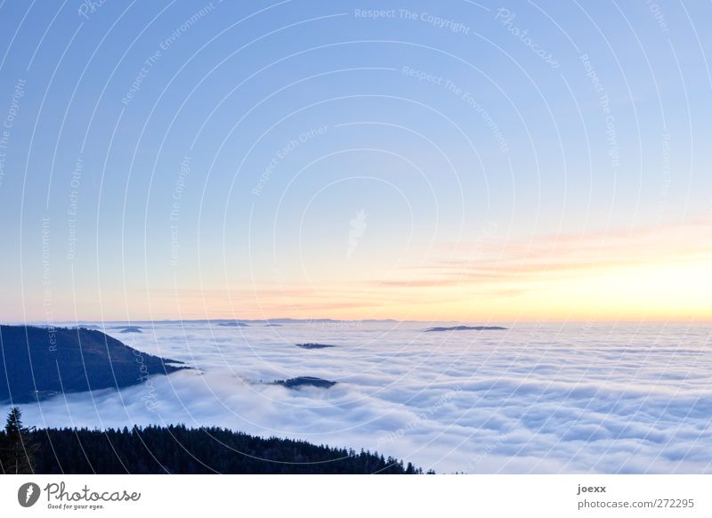 Heiter bis wolkig Natur Himmel Wolken Horizont Sonnenaufgang Sonnenuntergang Schönes Wetter Wald Berge u. Gebirge Gipfel frei Unendlichkeit hell hoch schön blau