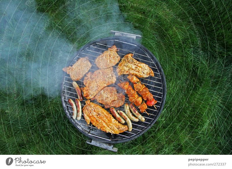 wann wird's mal wieder richtig sommer... Fleisch Wurstwaren Ernährung Picknick Camping Wiese Grill Rauch lecker Bratwurst Tag Dinge Speisen & GetrŠnke GemŸse