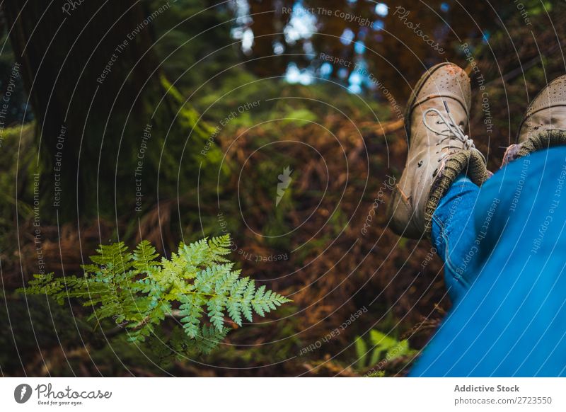 Nahaufnahme einiger Stiefel im Wald Feldfrüchte Herbst Mensch Natur Beine Schuhe Anschnitt Park Blatt Außenaufnahme Fuß Hintergrundbild gelb Jahreszeiten