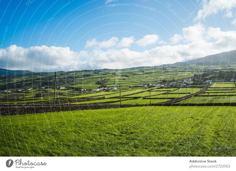 Luftbild zu grünen Feldern Aussicht Natur Wiese Gras Landschaft ländlich Sommer Pflanze Azoren Frühling Rasen Landen Umwelt Jahreszeiten Bauernhof schön