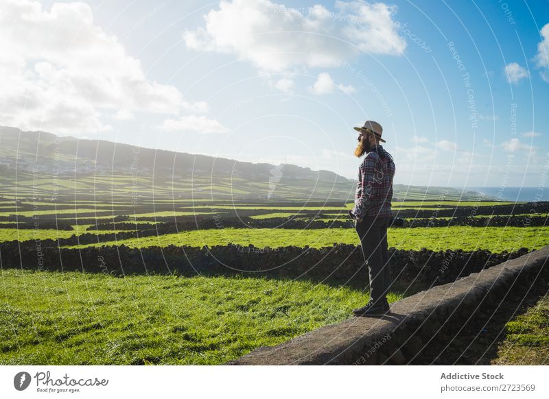 Luftbild zu grünen Feldern Aussicht Natur Wiese Gras Landschaft ländlich Sommer Pflanze Azoren Frühling Rasen Landen Umwelt Jahreszeiten Bauernhof schön