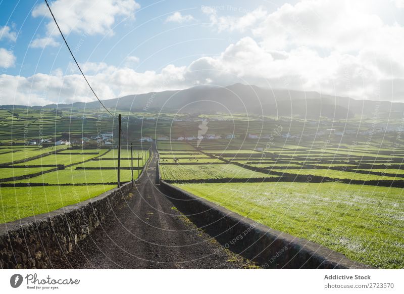 Luftbild zu grünen Feldern Aussicht Natur Wiese Gras Landschaft ländlich Sommer Pflanze Azoren Frühling Rasen Landen Umwelt Jahreszeiten Bauernhof schön