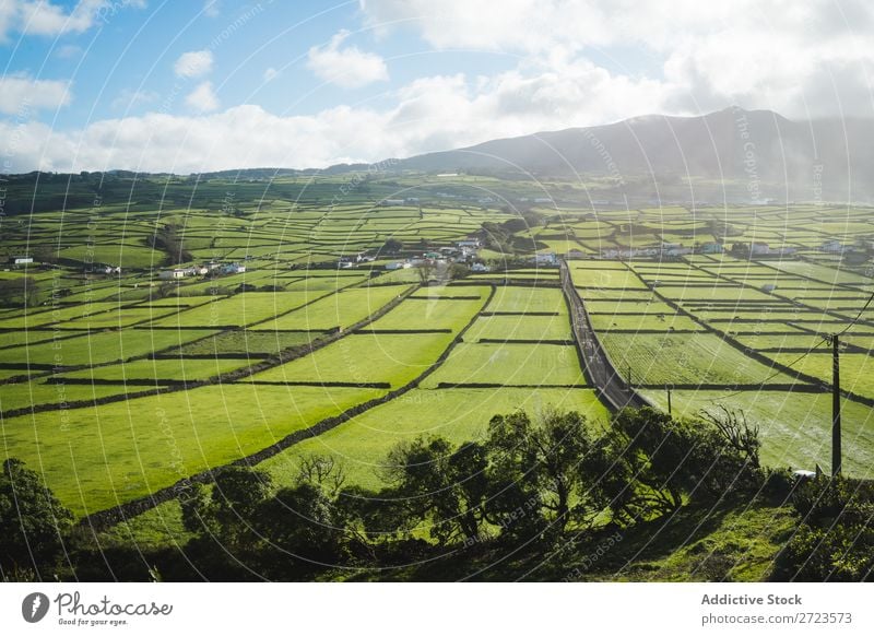 Luftbild zu grünen Feldern Aussicht Natur Wiese Gras Landschaft ländlich Sommer Pflanze Azoren Frühling Rasen Landen Umwelt Jahreszeiten Bauernhof schön