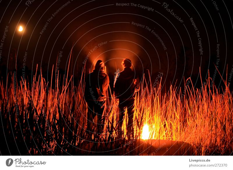 Zum Boddenhof Mensch maskulin Mann Erwachsene Körper 2 Umwelt Natur Landschaft Feuer Mond Pflanze Sträucher Seeufer leuchten Farbfoto Außenaufnahme Experiment