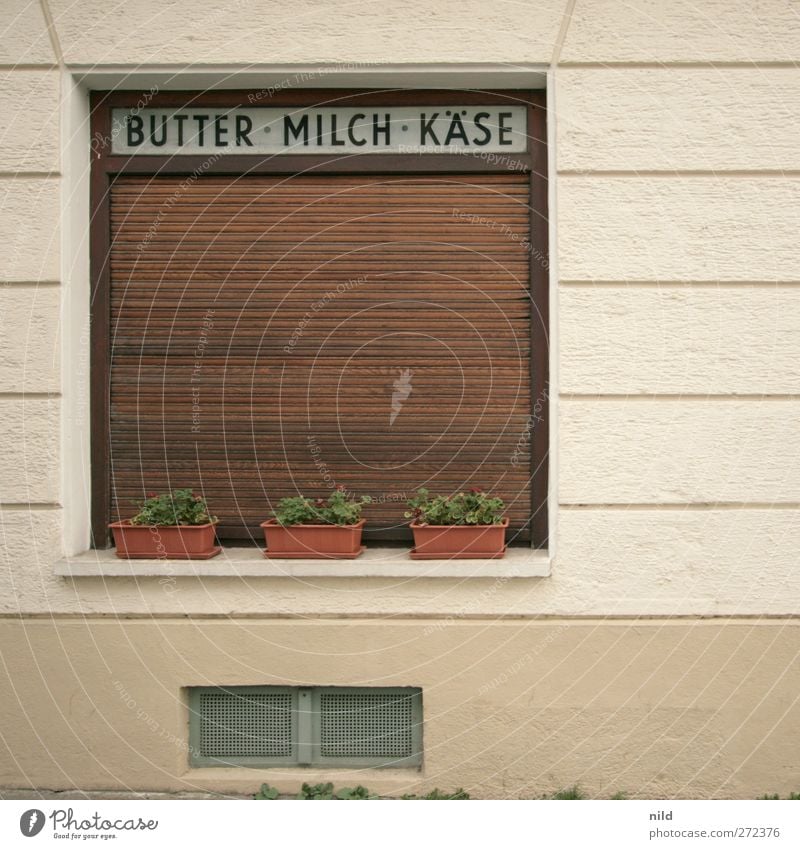 BUTTER • MILCH • KÄSE Lebensmittel Butter Milch Käse Pflanze Grünpflanze Topfpflanze Dorf Stadt Menschenleer Haus Mauer Wand Fassade Fenster Schaufenster