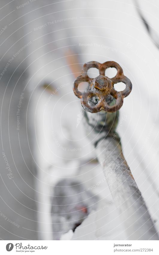 Rostige Blume Industrieanlage Fabrik alt dreckig braun weiß Wasserhahn Verfall Ruine Abrissgebäude Rohrleitung Farbfoto Innenaufnahme Nahaufnahme