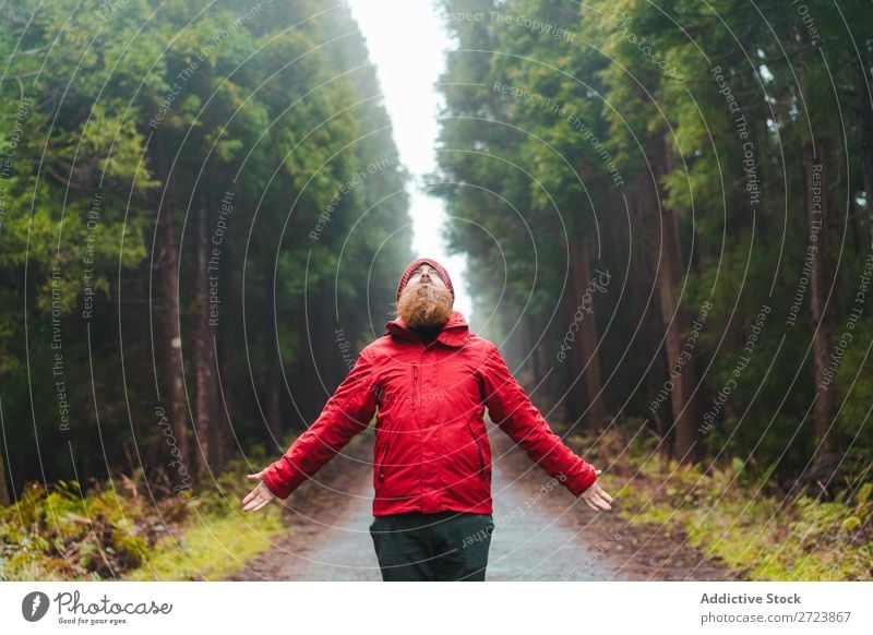 Wanderer im Wald mit erhobenen Händen Tourist Natur Mann Hände hoch laufen Straße rot Jacke grün Ferien & Urlaub & Reisen Abenteuer Landschaft wandern Azoren