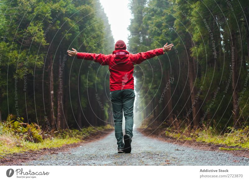 Wanderer im Wald mit erhobenen Händen Tourist Natur Mann Hände hoch laufen Straße rot Jacke grün Ferien & Urlaub & Reisen Abenteuer Landschaft wandern Azoren