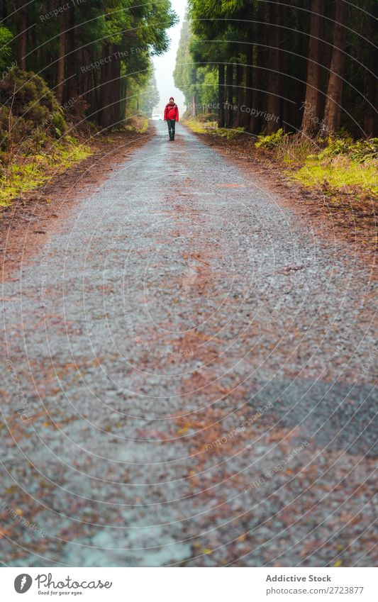 Wanderer im Wald mit erhobenen Händen Tourist Natur Mann Hände hoch laufen Straße rot Jacke grün Ferien & Urlaub & Reisen Abenteuer Landschaft wandern Azoren