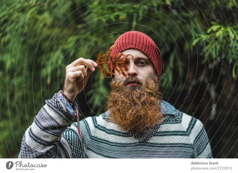 Bartiger Mann am Ast stehend im Wald Tourist grün bärtig Natur Ferien & Urlaub & Reisen Tourismus Lifestyle Aktion Freizeit & Hobby Mensch wandern Sport