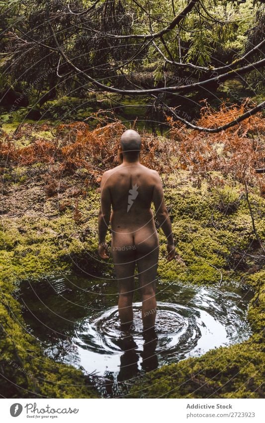 Nackter Mann, der auf der Natur posiert. nackt Wald Jugendliche Torso natürlich Rüssel Park Model gutaussehend Erwachsene Holz ohne Hemd stark attraktiv