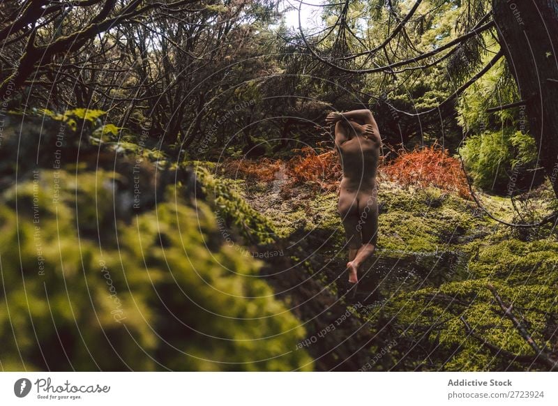 Nackter Mann, der auf der Natur posiert. nackt Wald Jugendliche Torso natürlich Baum Rüssel Park Model gutaussehend Erwachsene Holz ohne Hemd stark attraktiv