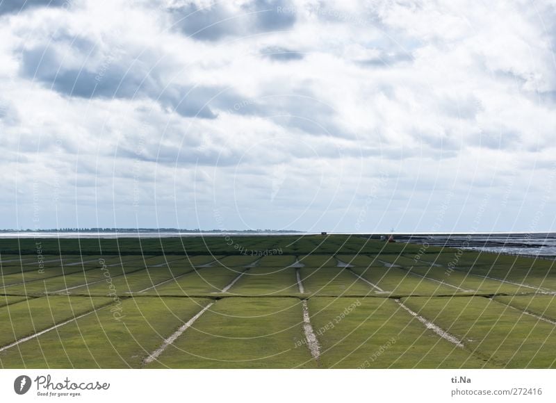 Helmsand Umwelt Natur Landschaft Erde Himmel Wolken Frühling Sommer Schönes Wetter Wind Küste Nordsee entdecken nachhaltig natürlich blau grau grün Sehnsucht