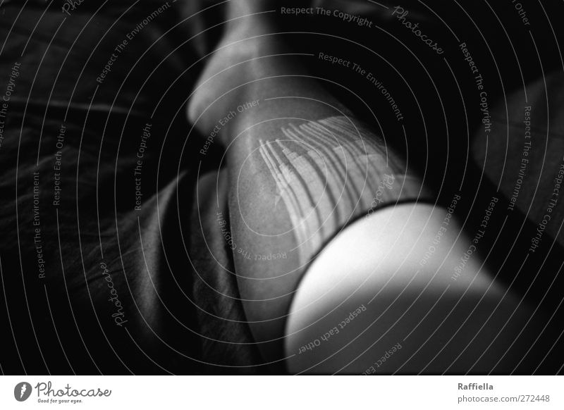 fahrrad fahren... feminin Beine Fuß 1 Mensch liegen kaputt schwarz Strumpfhose Bett Bettlaken Bettwäsche Zerstörung Schwarzweißfoto Innenaufnahme Nahaufnahme