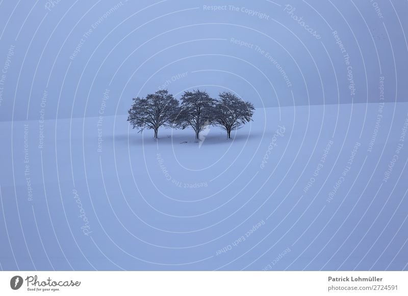 Nackt Umwelt Natur Landschaft Himmel Winter Klima schlechtes Wetter Eis Frost Schnee Schneefall Baum Hügel Deutschland Europa außergewöhnlich dunkel kalt blau