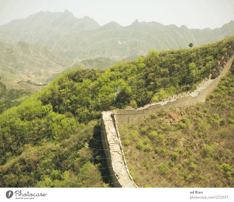 Abgrenzung Natur Landschaft Frühling Schönes Wetter Baum Gras Sträucher Feld Wald Hügel Felsen Berge u. Gebirge China Ruine Turm Bauwerk Architektur Mauer Wand