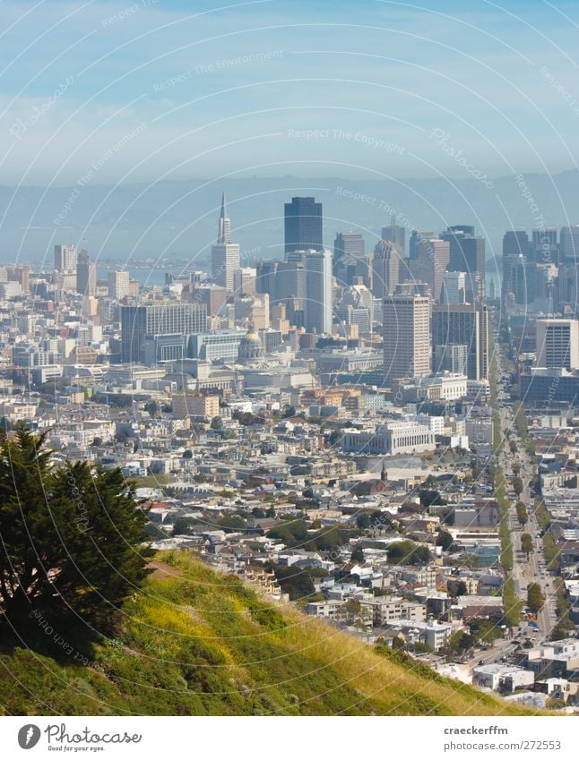 San Francisco Skyline USA Haus Hochhaus gigantisch hoch modern blau gelb SFO Aussicht Farbfoto Außenaufnahme Menschenleer Tag Licht Starke Tiefenschärfe