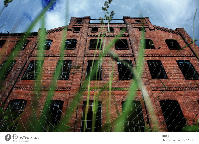 Weberei im Schlaf Gras Dorf Menschenleer Haus Industrieanlage Fabrik Ruine Bauwerk Gebäude Architektur Mauer Wand Fassade Fenster Nostalgie Vergangenheit