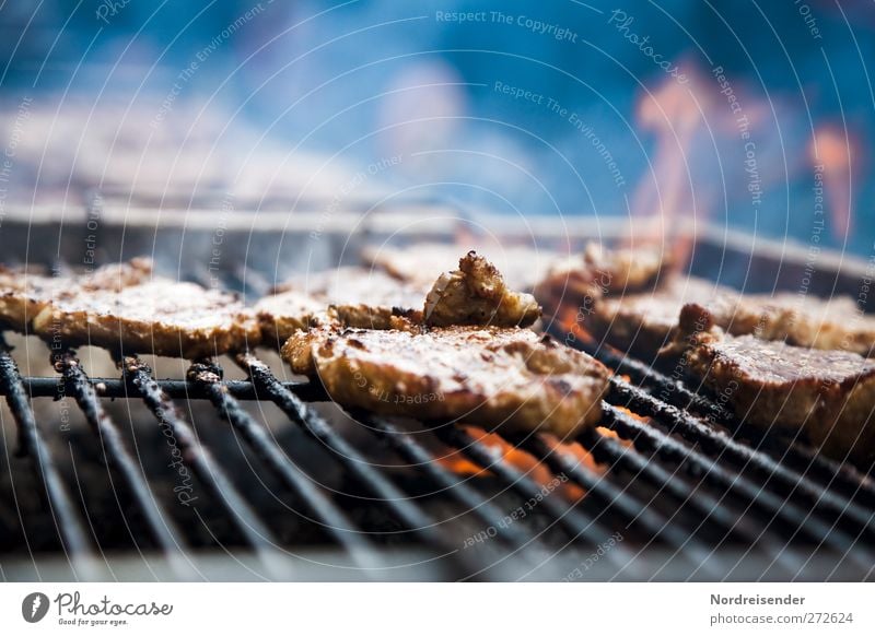 Wie wird das Grillwetter? Lebensmittel Fleisch Ernährung Rauch Duft saftig Völlerei Steak Rostbraten Grillrost Grillen Grillkohle Grillsaison Flamme Cholesterin