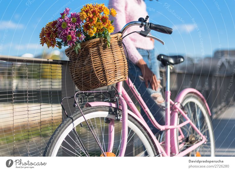 Schwarze junge Frau auf einem Oldtimer-Fahrrad Mädchen altehrwürdig Ausritt schön retro Blume Sonnenstrahlen Glück Blumenstrauß Sommer Jugendliche hübsch