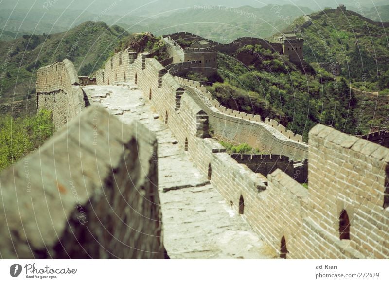 ein Auf und Ab! Umwelt Landschaft Wolkenloser Himmel Frühling Schönes Wetter Baum Gras Sträucher Wiese Wald Hügel Gipfel China Skyline Menschenleer Palast Ruine