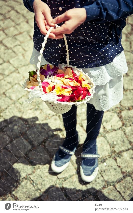 Blumenkind in blauen Strümpf‘ Feste & Feiern Hochzeit Mensch feminin Kind Mädchen Kindheit Hand 1 3-8 Jahre Blüte Kleid Schuhe festhalten Vorfreude Glück