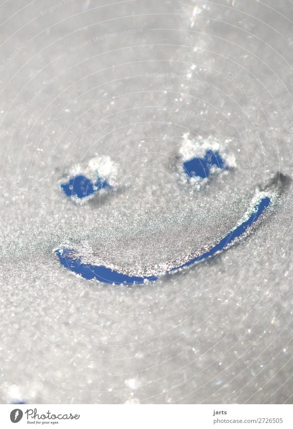 freudich Gesicht Auge Mund Winter Schönes Wetter Eis Frost lachen einfach frisch kalt lustig positiv Freude Zufriedenheit Optimismus Smiley Farbfoto