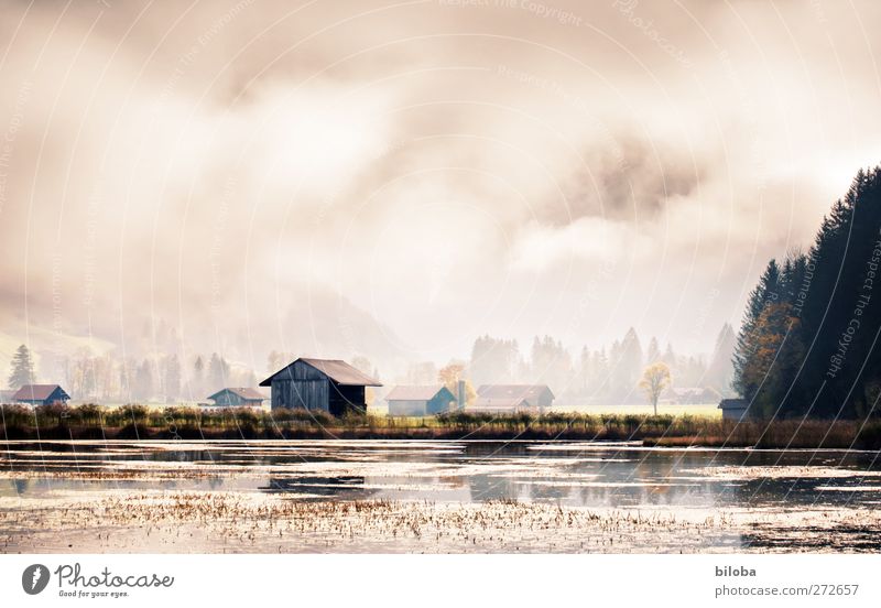 Haus spiegelt sich sich bei Herbststimmung im See. Wasser spiegeln Wolken Nebel Sonne Sonnenlicht Sommer Klima schlechtes Wetter Seeufer Dorf Hütte Gefühle