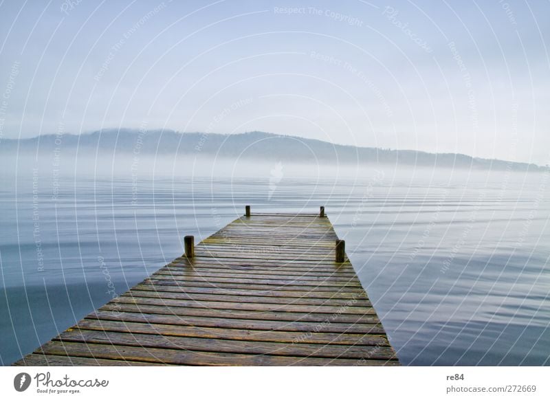 Die Bretter die die Welt bedeuten Ferne Freiheit Wellen Berge u. Gebirge Umwelt Natur Landschaft Wasser Wind Nebel See blau braun Gefühle Stimmung Kraft Fernweh