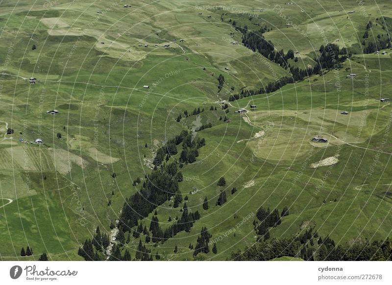 Kleinigkeiten Erholung ruhig Ferien & Urlaub & Reisen Ausflug Abenteuer Ferne Expedition wandern Umwelt Natur Landschaft Sommer Baum Wiese Feld einzigartig